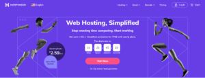Website Hosting Service Providers